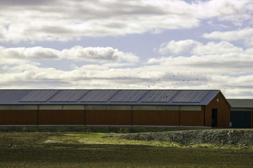 På Västra Toleruds Gård finns 240 solceller på uthustaken som vätter mot öster. Lika många vätter åt väster. Det ger jämn elproduktion så länge solen är uppe.