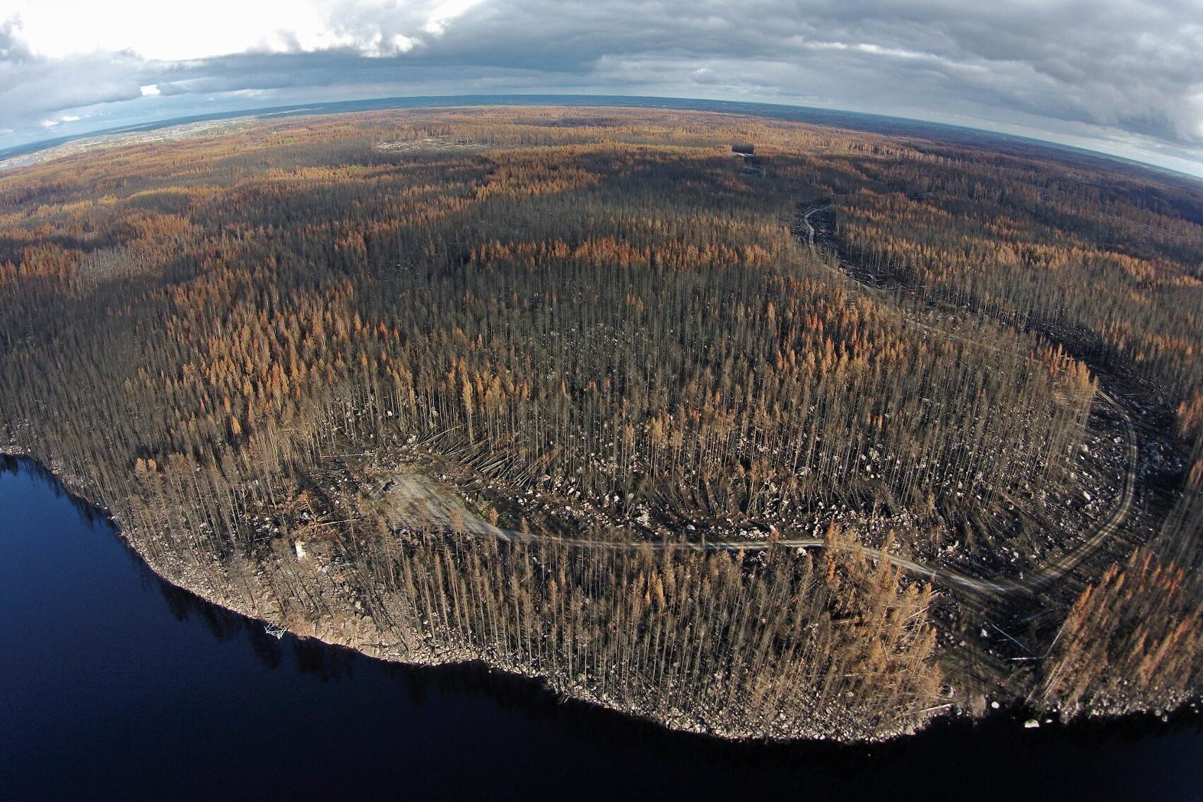 Skogsbranden som härjade i Västmanland 2014 omfattade mer än 13 000 hektar.