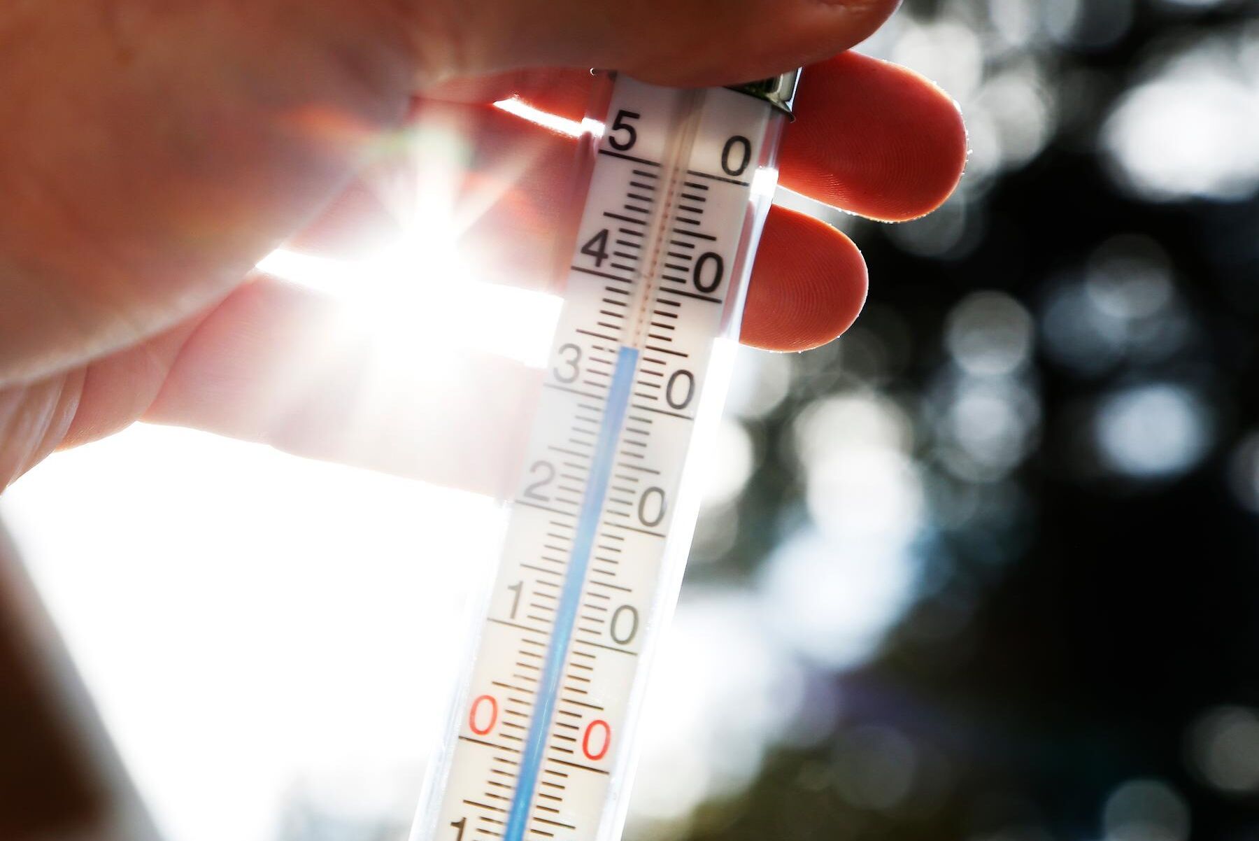 Under den gångna sommaren har temperaturerna i norra Europa varit osedvanligt höga.