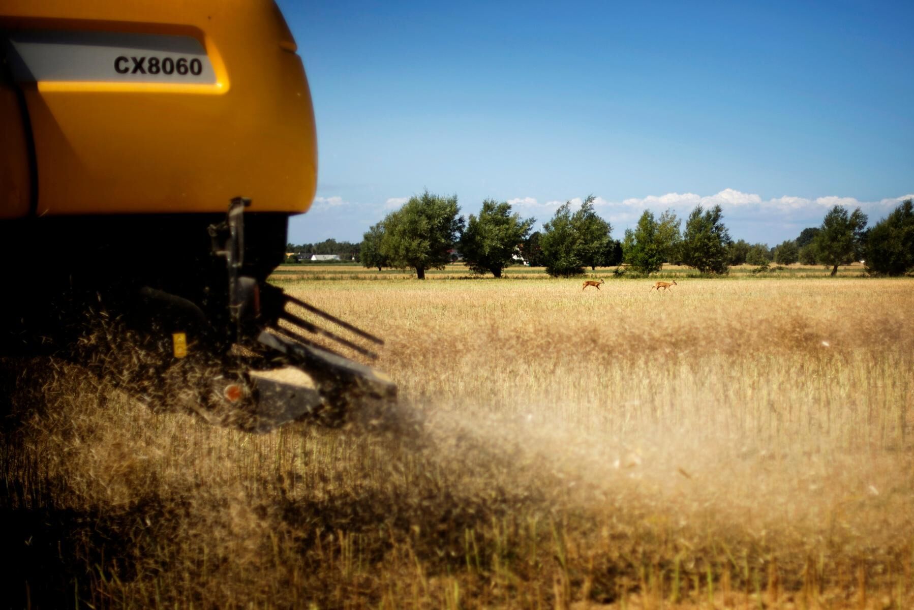 ”Vår uppmaning till lantbrukare som måste leverera under skördeperioden är att säkra av en del av den förväntade skörden”, säger Mats Eriksson på BM Agri (arkivbild).