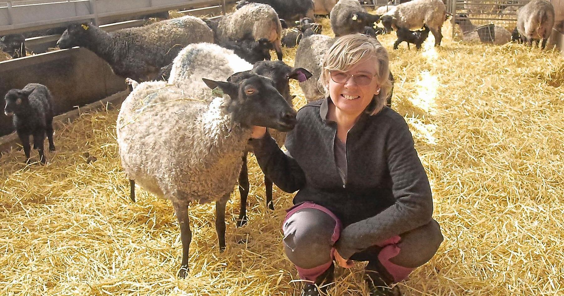 Caroline Kindblom Landtmanson är glad över intresset för att bli fodervärd till tackorna på Mittlandtsgården.