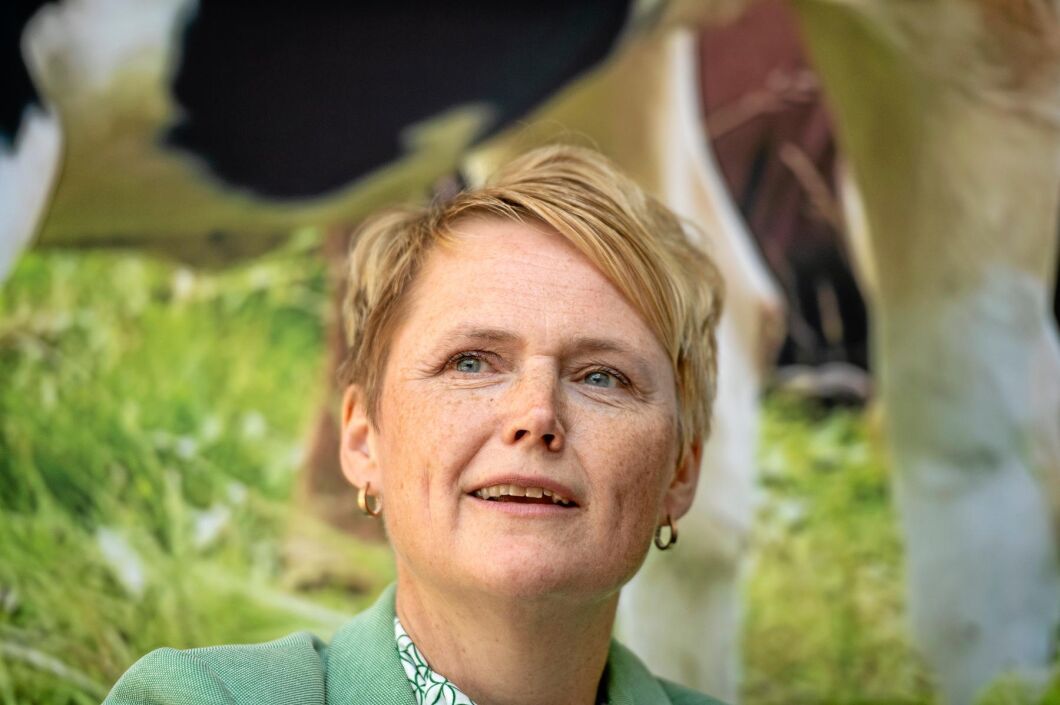 Anna-Karin Hatt (arkivbild).