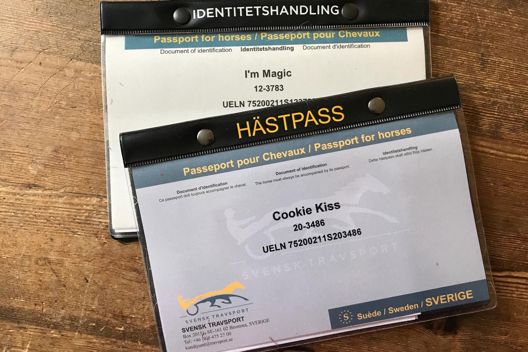Hästpass med ueln-nummer som används när hästar läggs i det nya djurhälsoregistret.