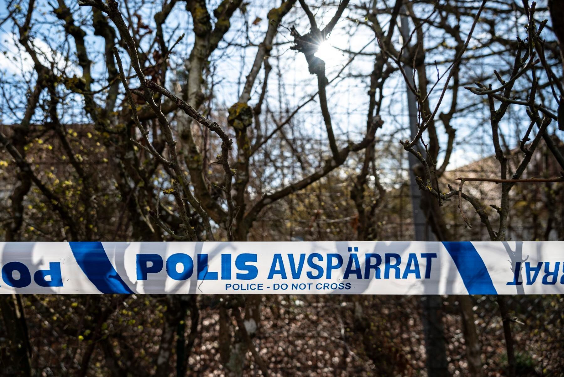 Hur mycket cannabis som tagits i beslag är ännu oklart.