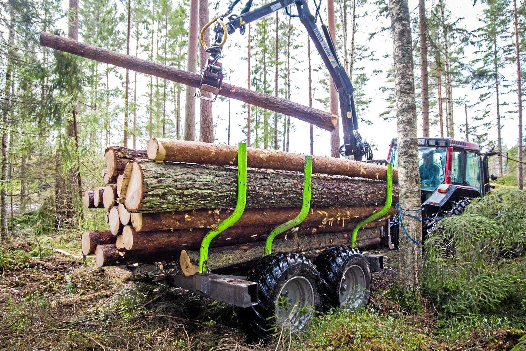 När EU-parlamentet röstar om LULUCF-reglerna kan det innebära att medlemsländerna får ett avverkningstak för skogsbruket, något som flera svenska EU-parlamentariker och LRF är kritiska till.