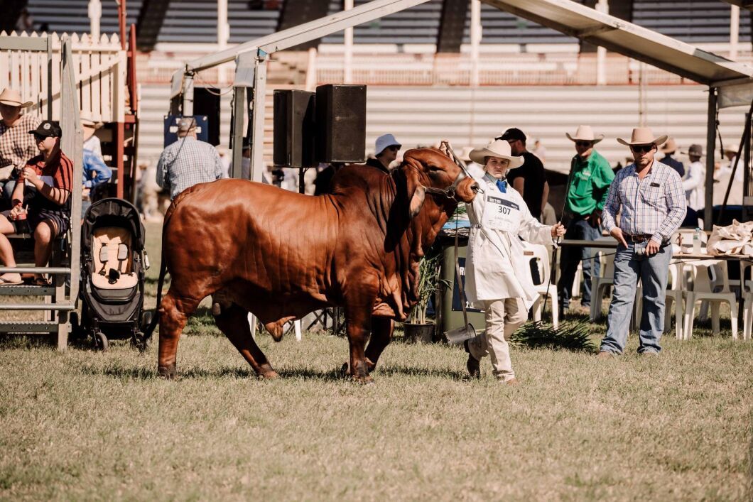 115 866 personer besökte Beef Australia när mässan hölls 2–8 maj.