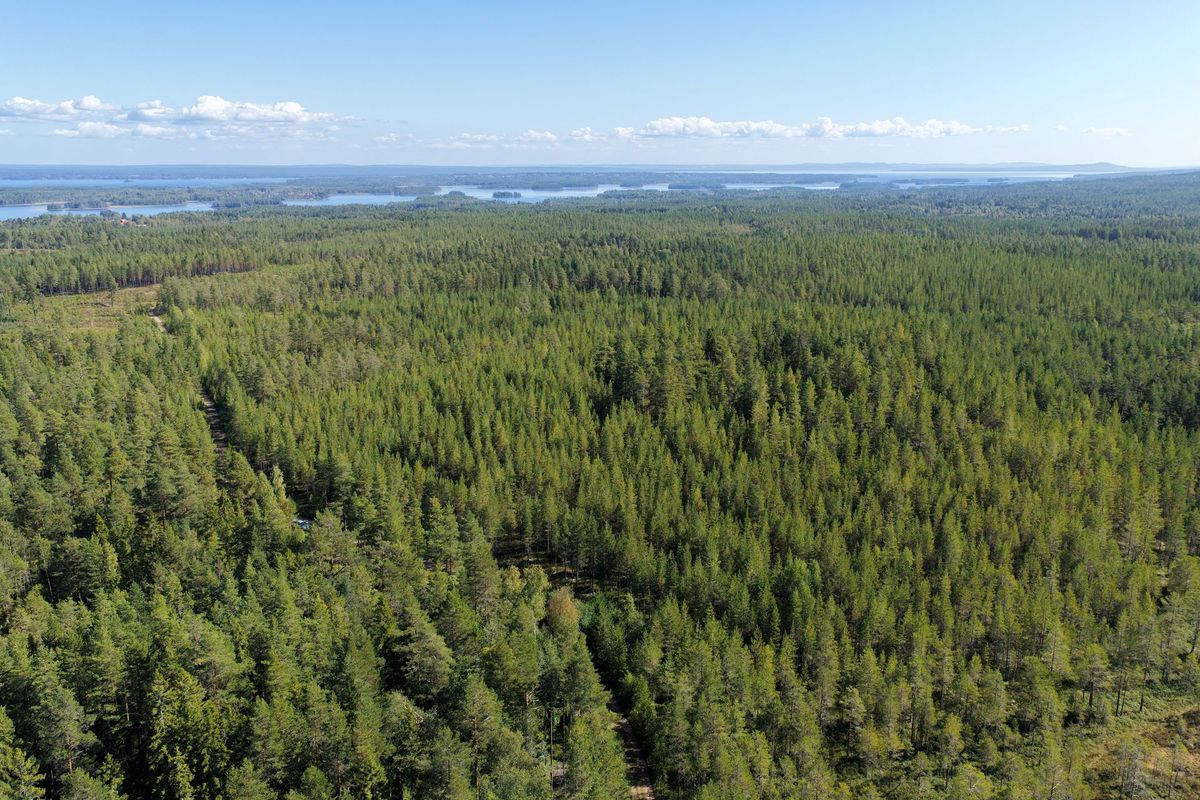 Fin skogsfastighet i Mora Vika