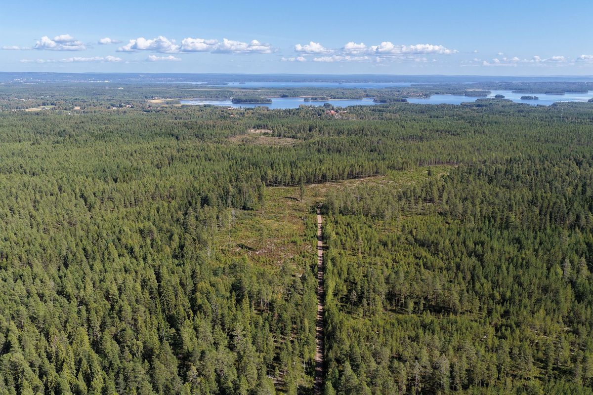 Fin skogsfastighet i Mora Vika