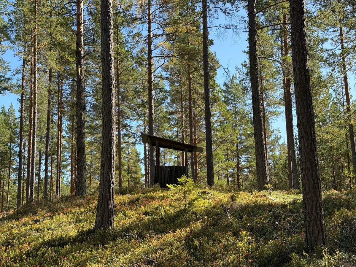 Fin skogsfastighet i Mora Vika