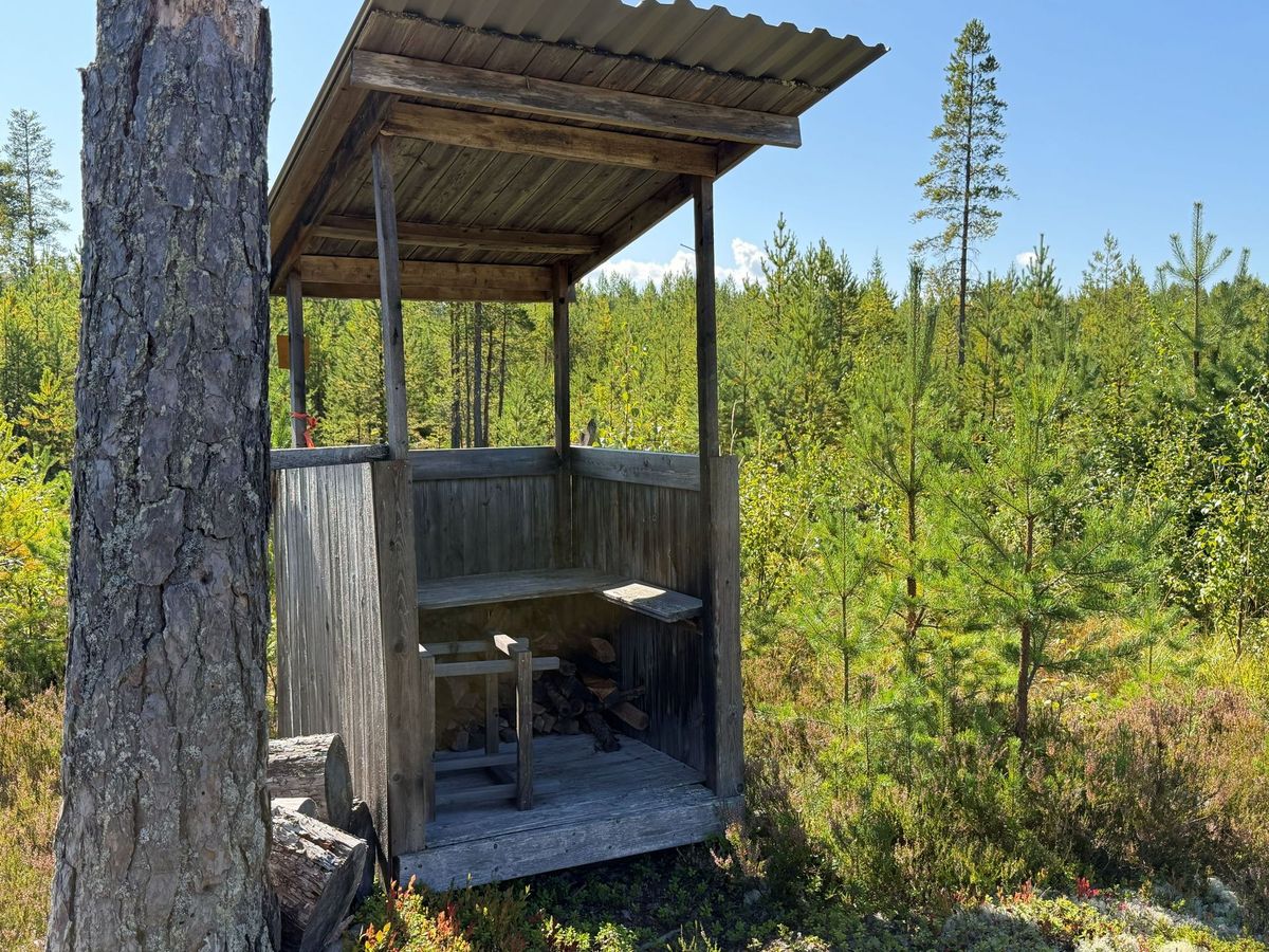 Fin skogsfastighet i Mora Vika