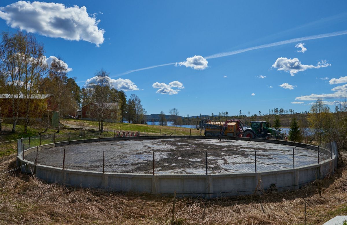 Mjölkgård i Örnsköldsvik