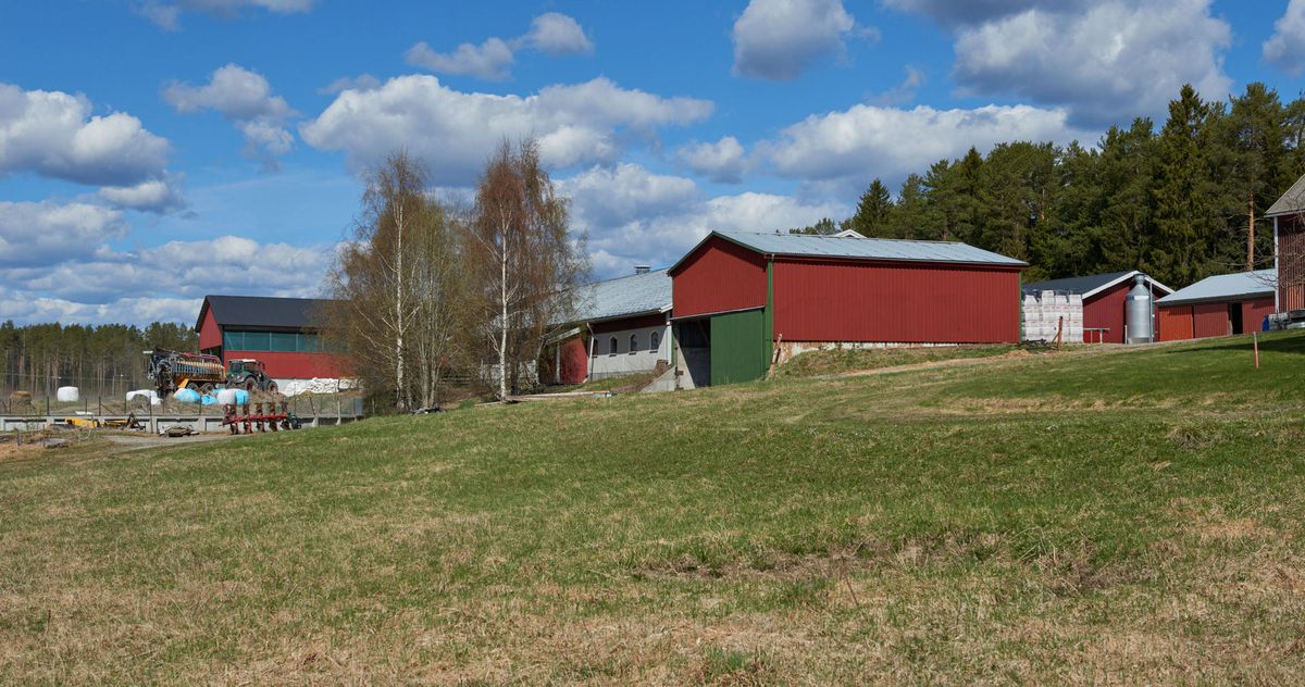 Mjölkgård i Örnsköldsvik