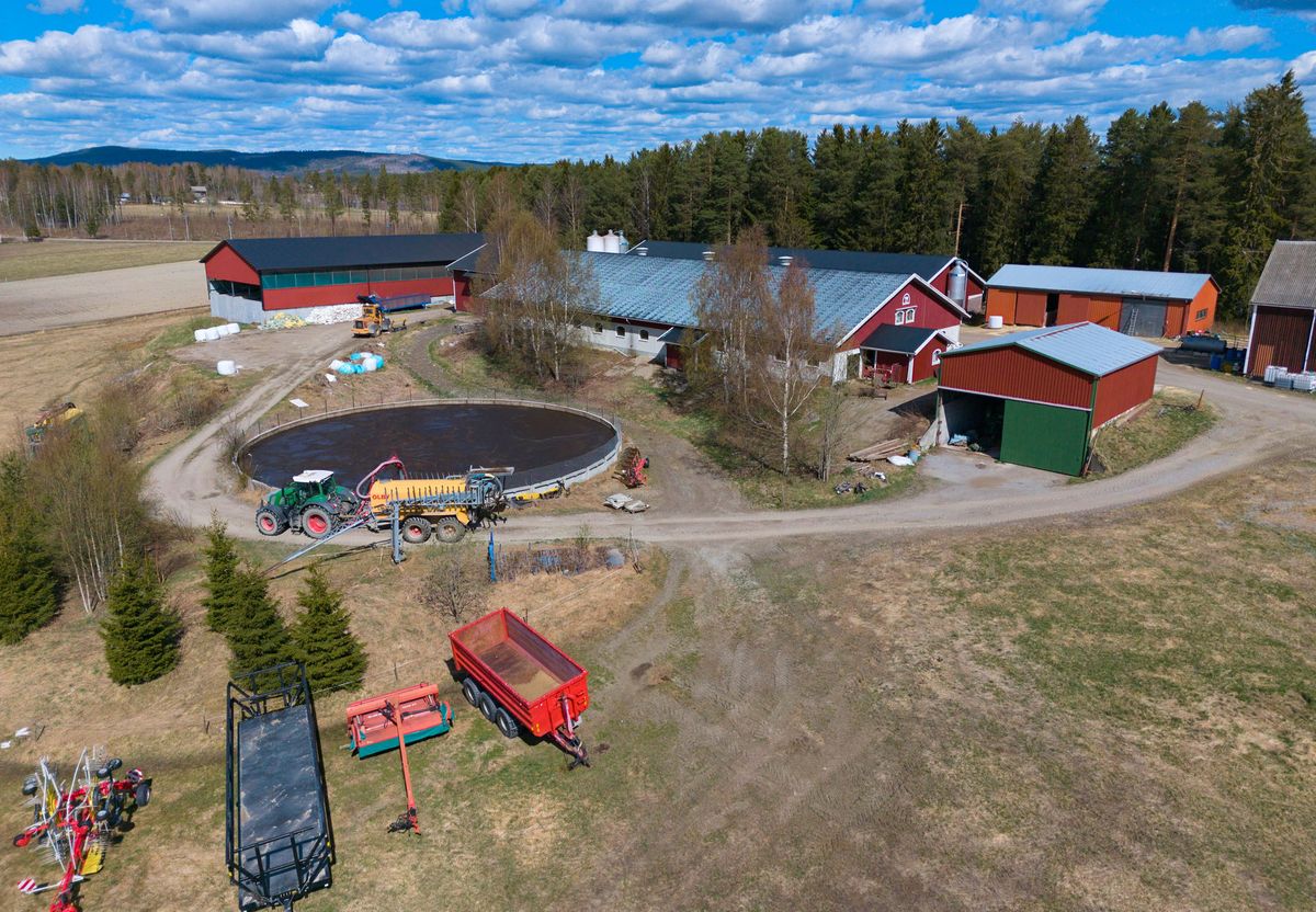 Mjölkgård i Örnsköldsvik