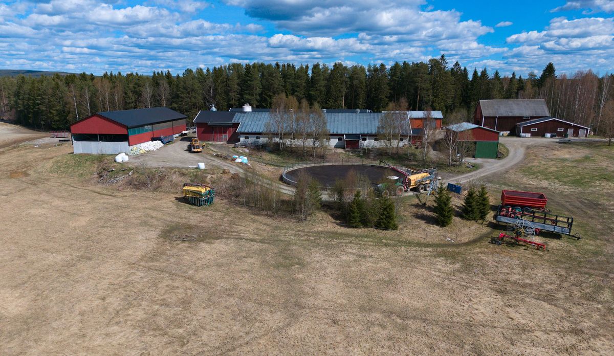 Mjölkgård i Örnsköldsvik