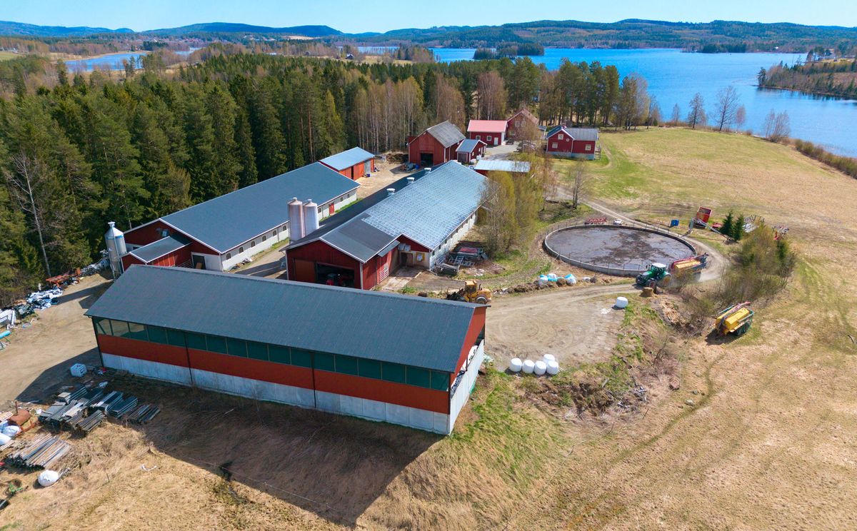 Mjölkgård i Örnsköldsvik