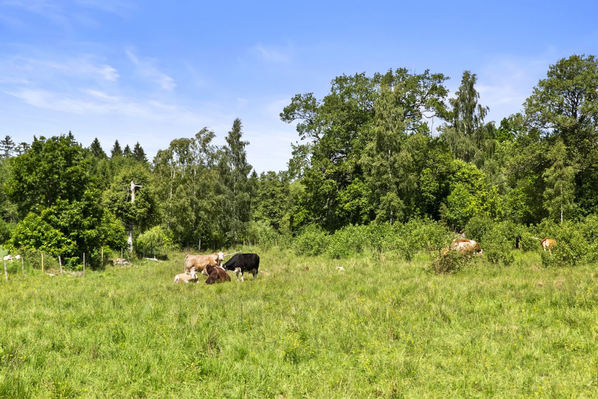 Skavenäs Mattisgård | Skavenäs - Exklusivt sjöläge