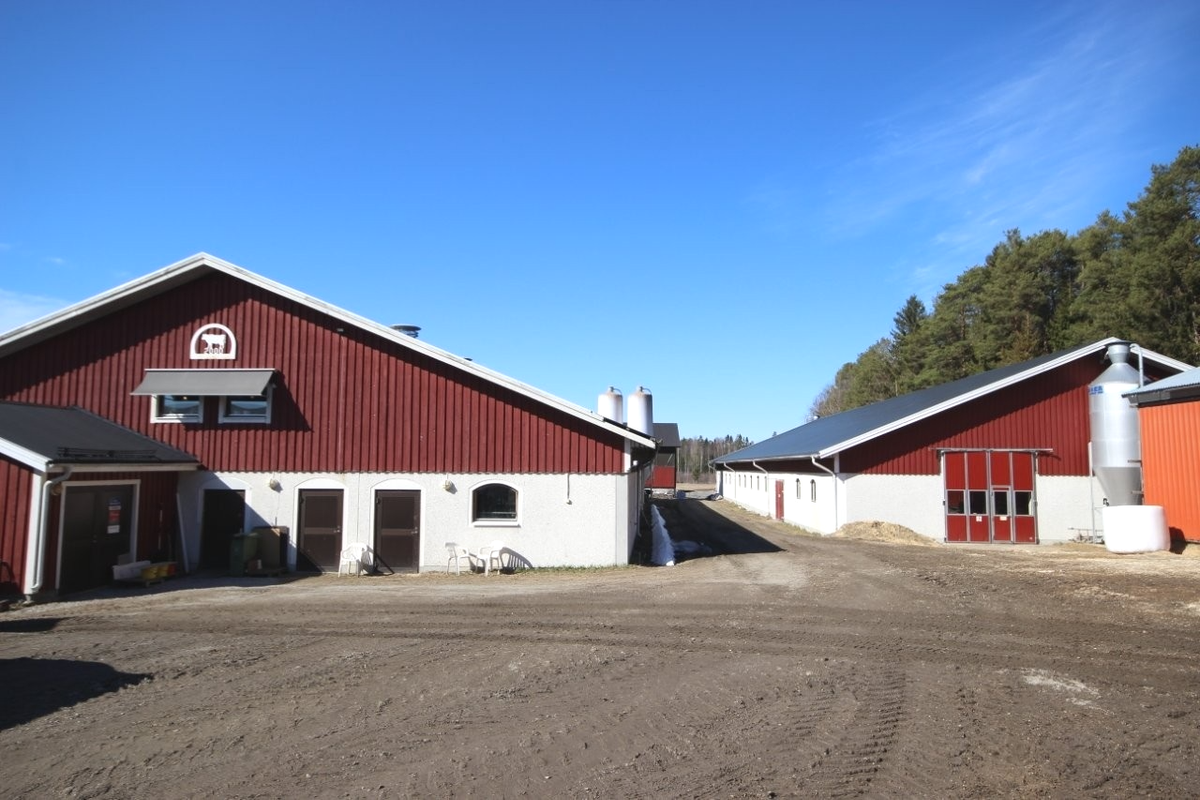 Mjölkgård i Örnsköldsvik