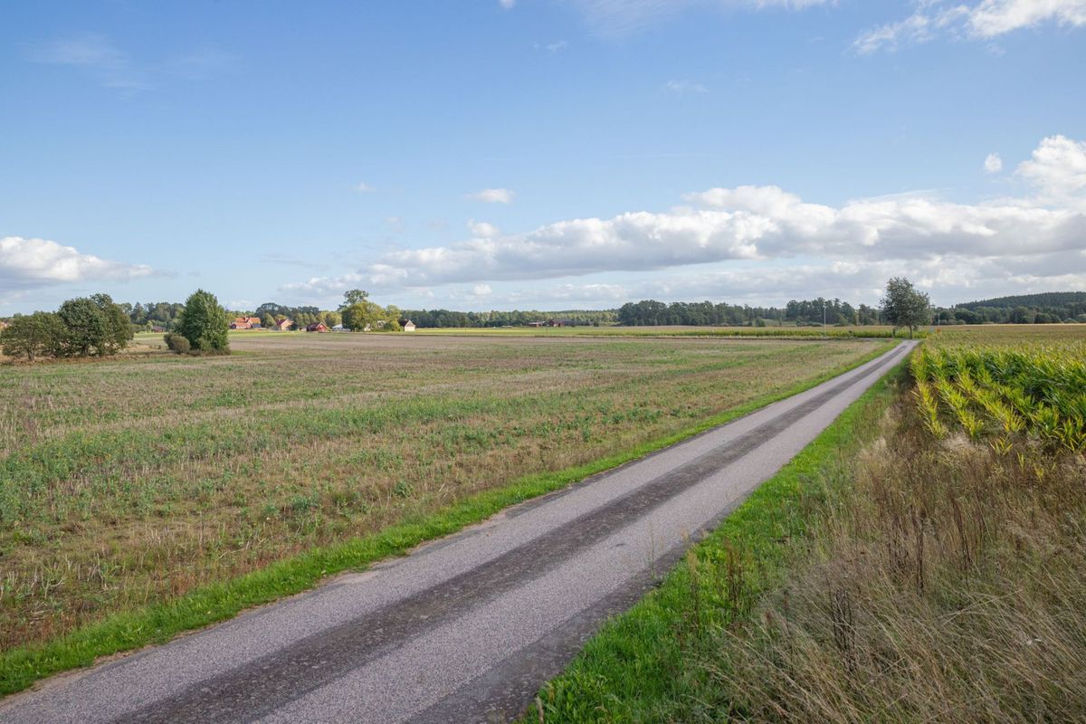 Ballingslöv - Åkermark