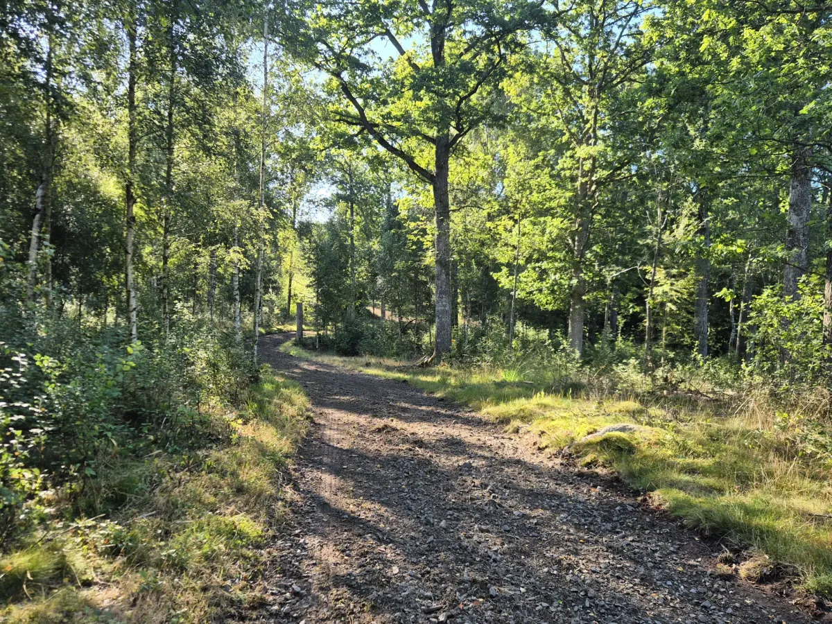 Produktions-/rekreationsskog om 86 ha i Klippan
