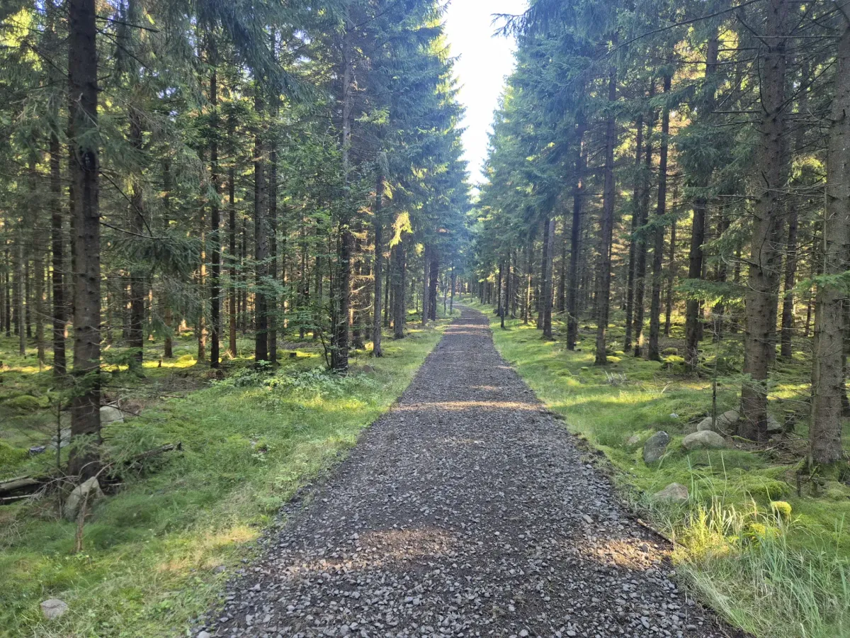 Produktions-/rekreationsskog om 86 ha i Klippan