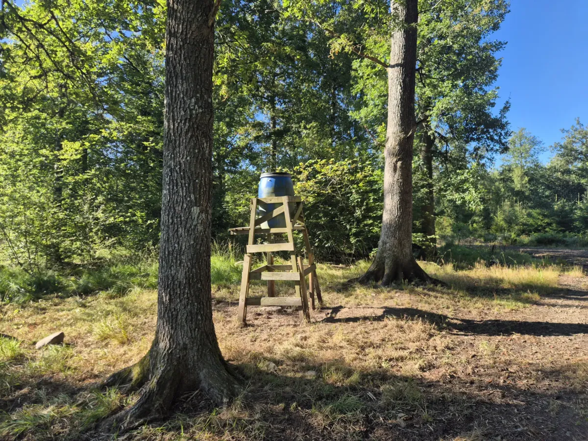 Produktions-/rekreationsskog om 86 ha i Klippan