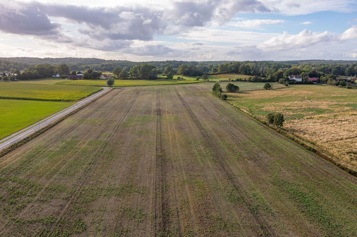 Ballingslöv - Åkermark