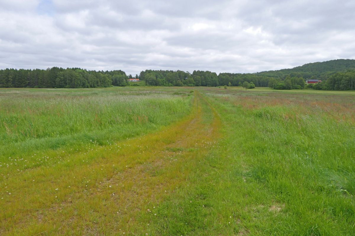 Källsmossen - Äldre gård med skog och jord
