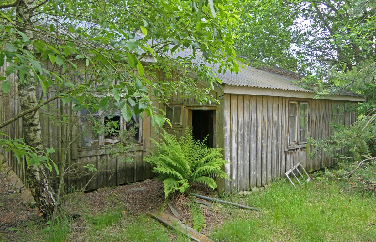 Källsmossen - Äldre gård med skog och jord