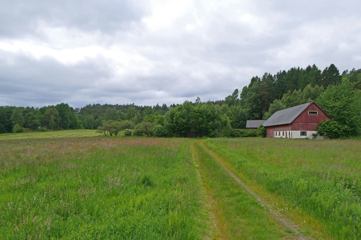 Källsmossen - Äldre gård med skog och jord
