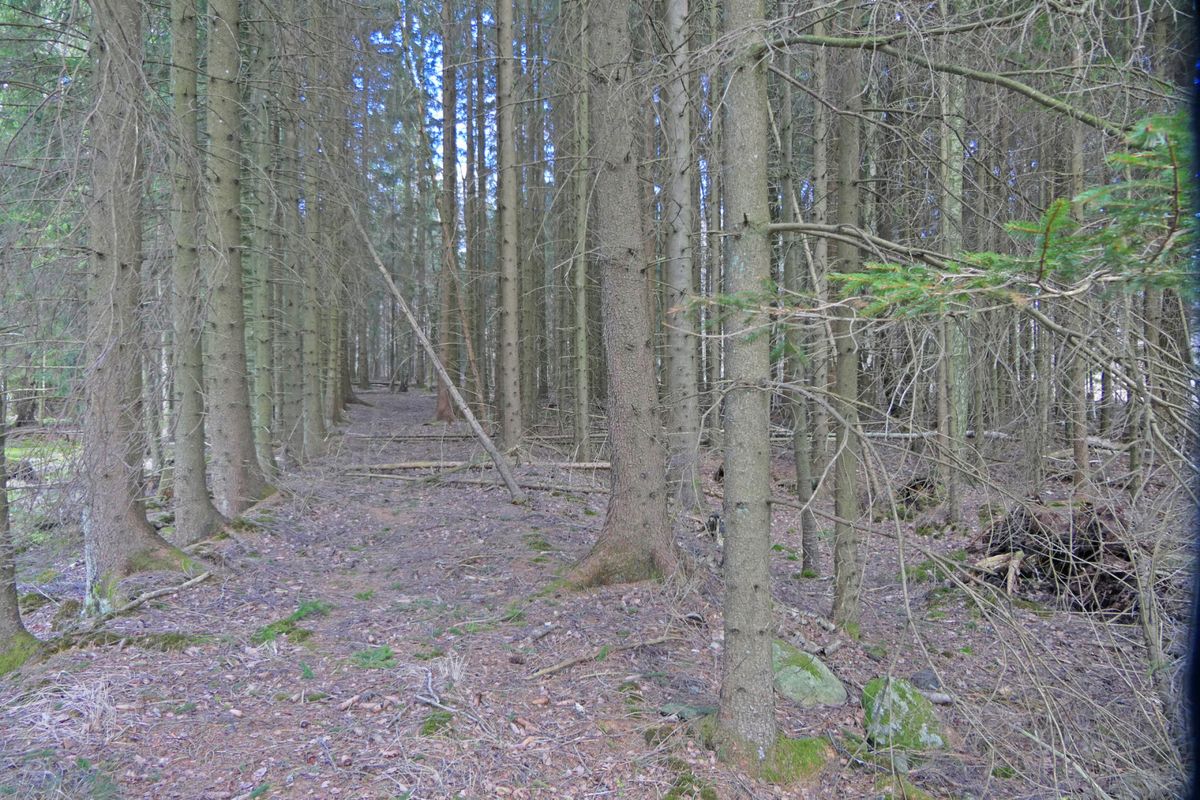 Källsmossen - Äldre gård med skog och jord