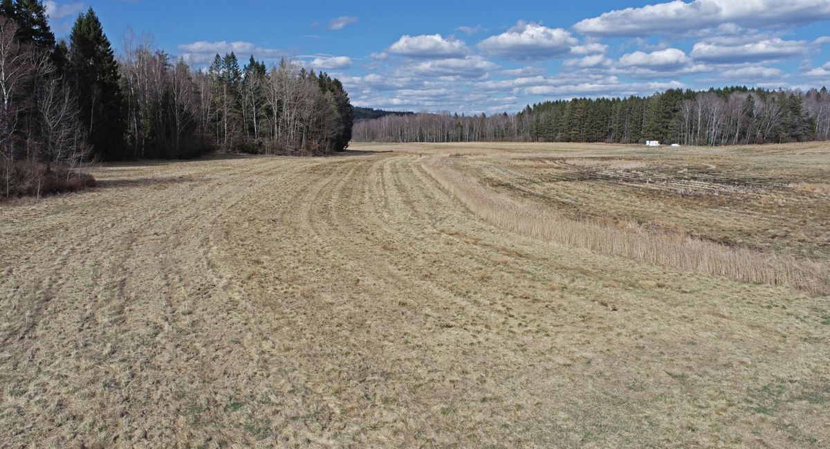 Källsmossen - Äldre gård med skog och jord