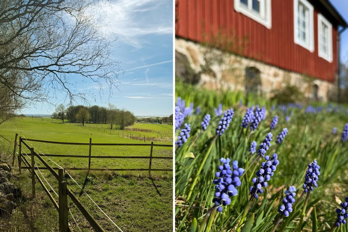 Träskomakarevägen 68