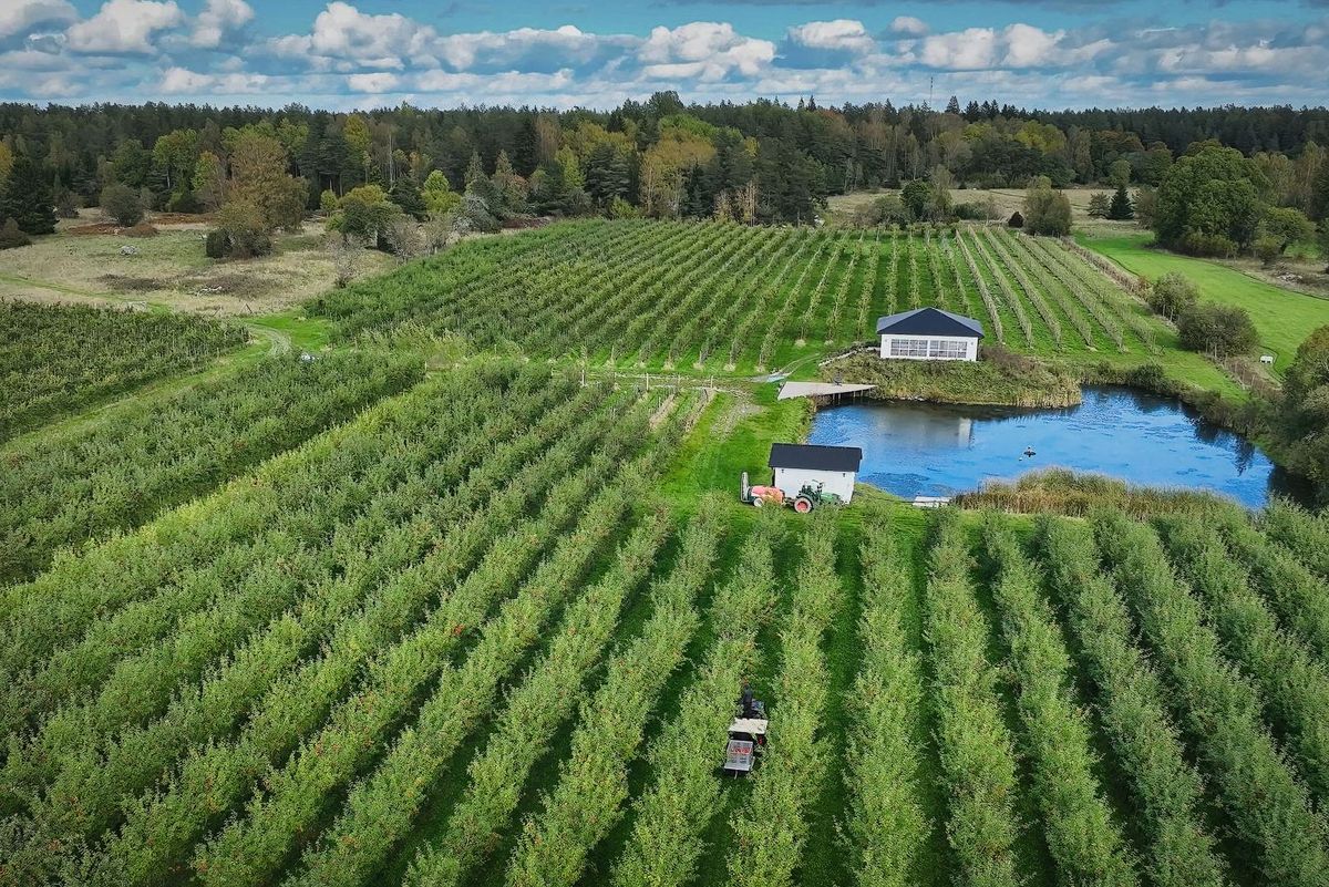 Wasstuna Gård – Norrbyvägen 14