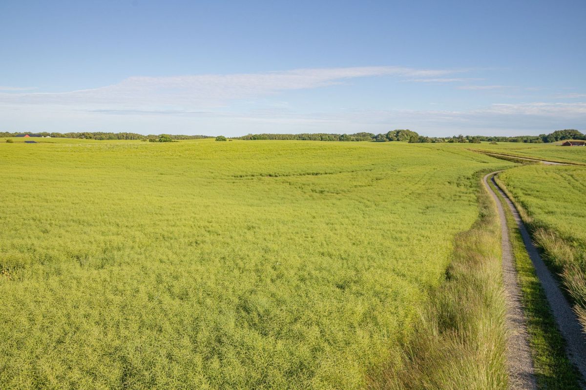 Åkermark | Hasslehus