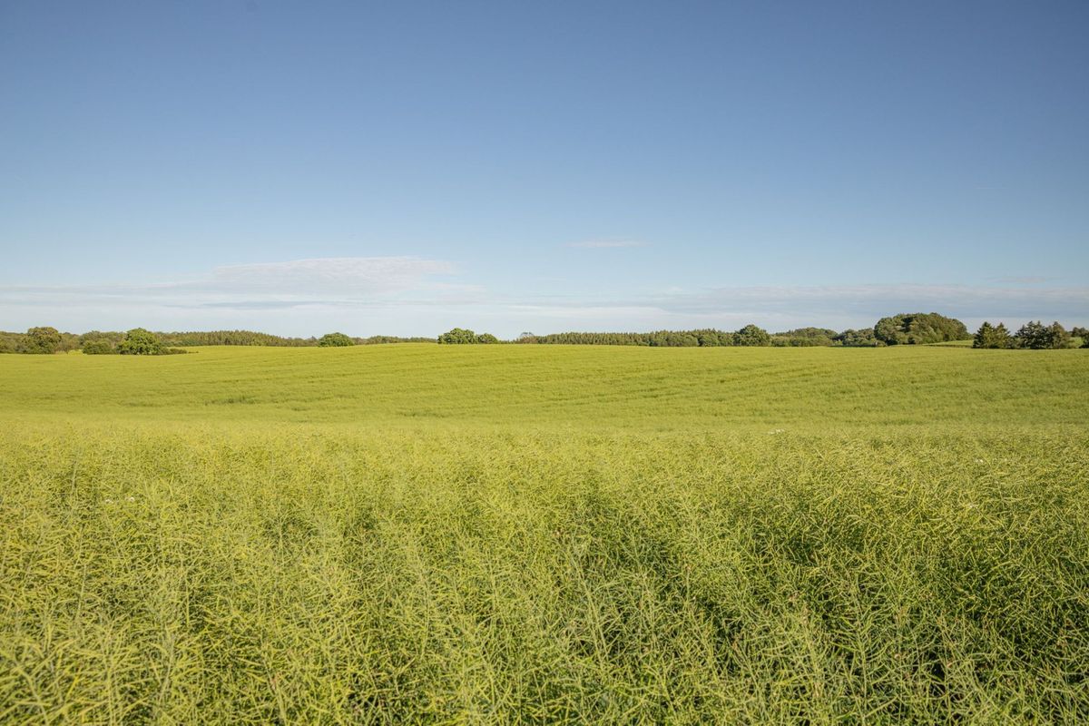 Åkermark | Hasslehus