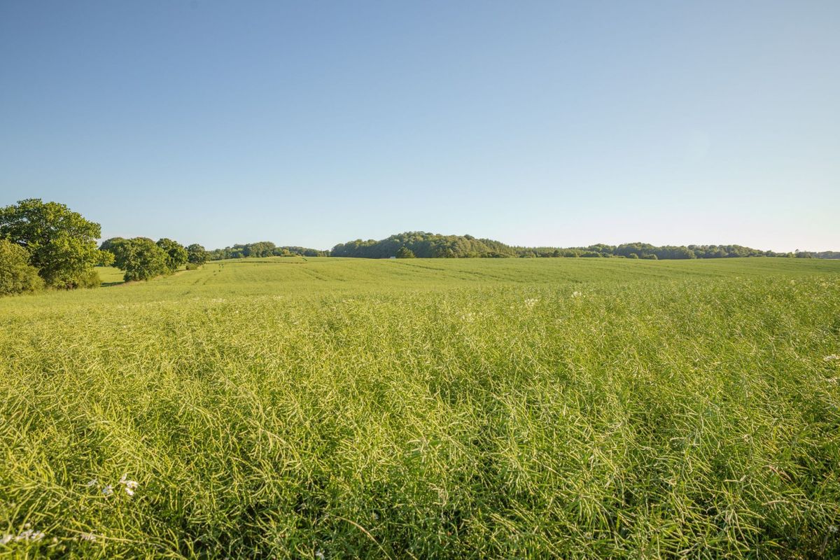 Åkermark | Hasslehus