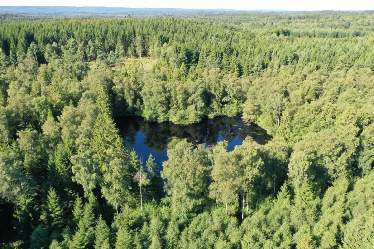 Produktions-/rekreationsskog om 86 ha i Klippan
