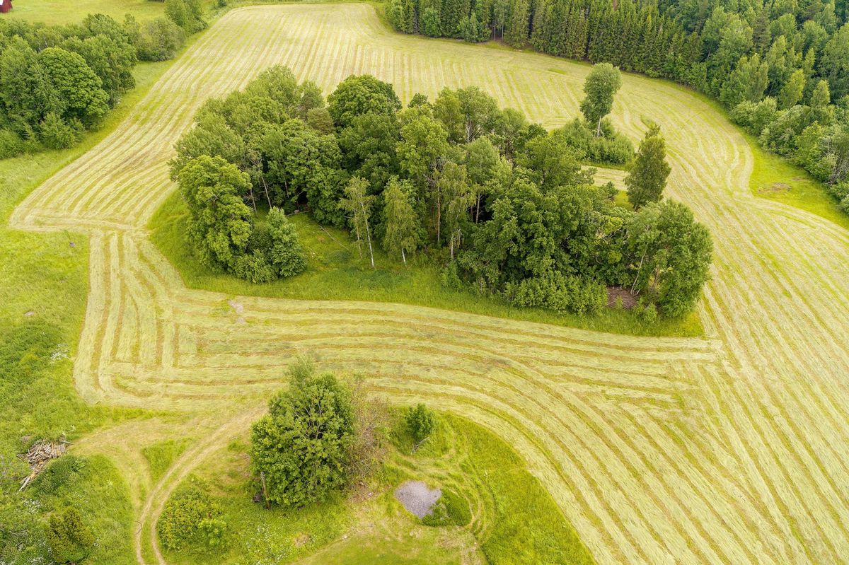 Vidarsgården - Gård i Rinkaby, fina åkerarealer