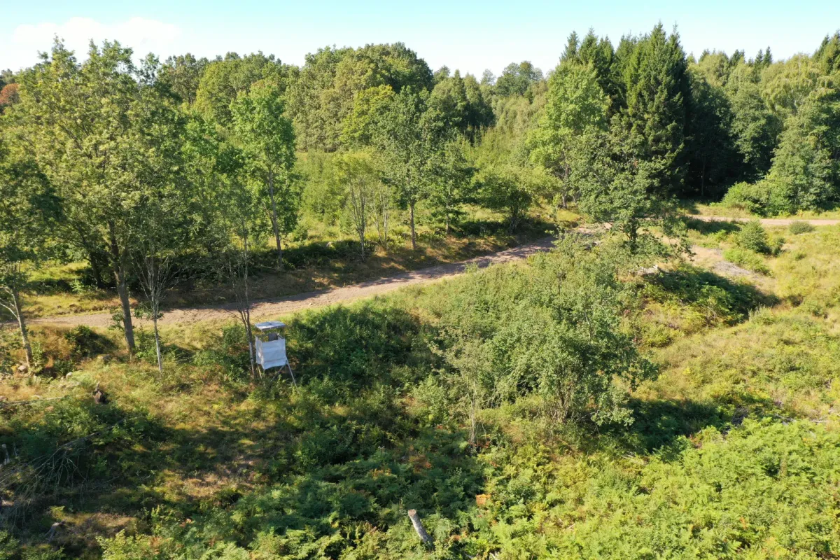 Produktions-/rekreationsskog om 86 ha i Klippan