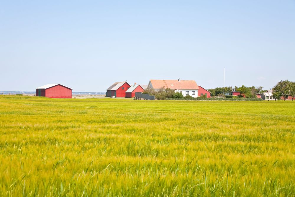 Strandskyddet kan stoppa fastighetsbildningar ATL