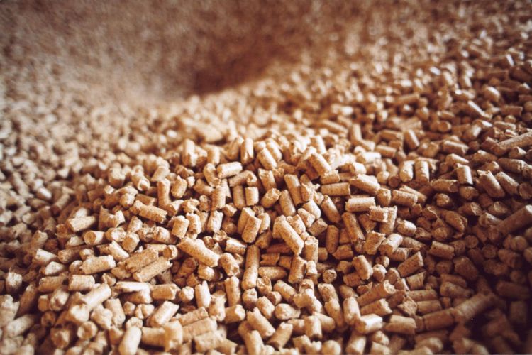 Träpellets