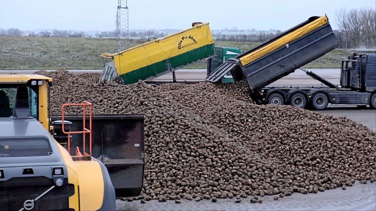 Klimatinvestering på Örtofta sockerbruk