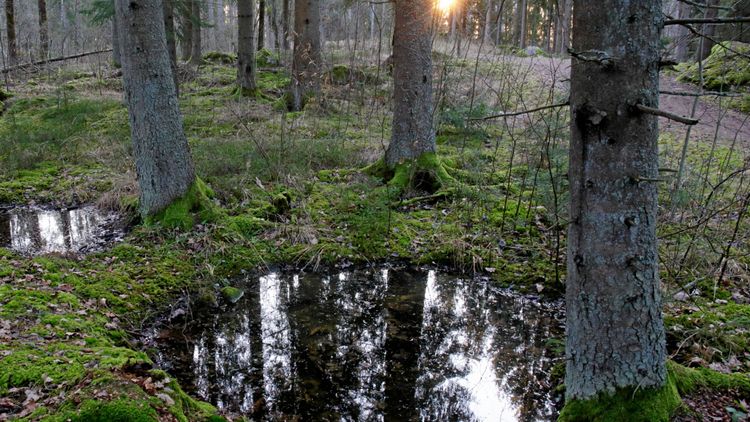 Det behövs nya perspektiv på äganderätten
