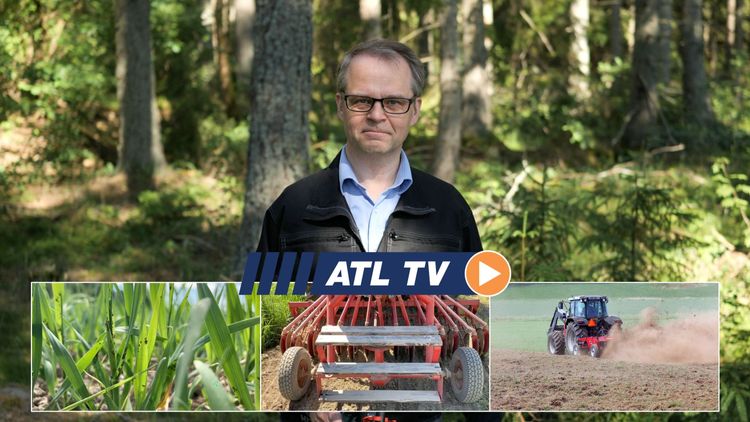 ATL TV: Varningen – mycket bladlöss i vårsäden