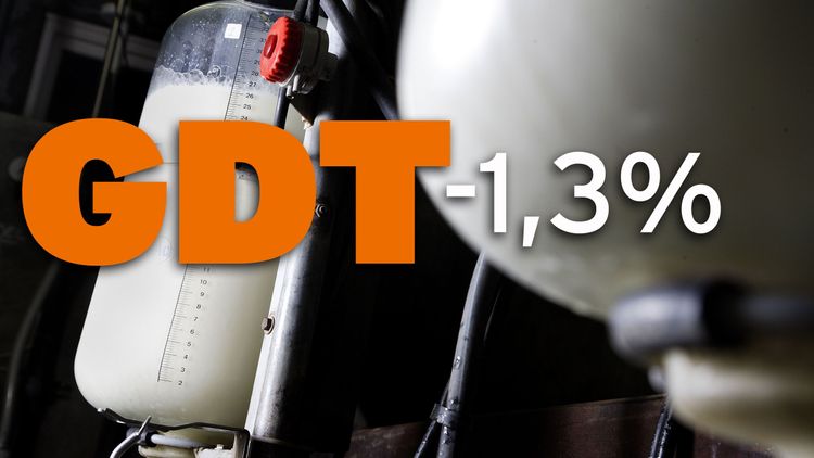 Minus igen för GDT