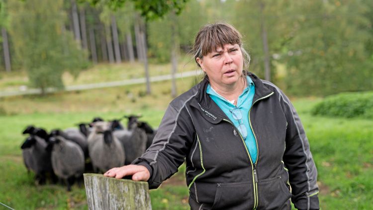 Fåravelsförbundet: Skrämmande läsning
