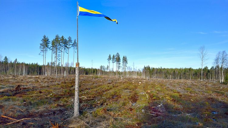 EU-kommissionen vill stoppa kalavverkningar visar läcka