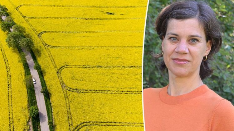 Svenska tillämpningen avgörande för Cap