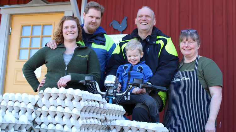 Gamla spannmålsgården
som sjuder av liv