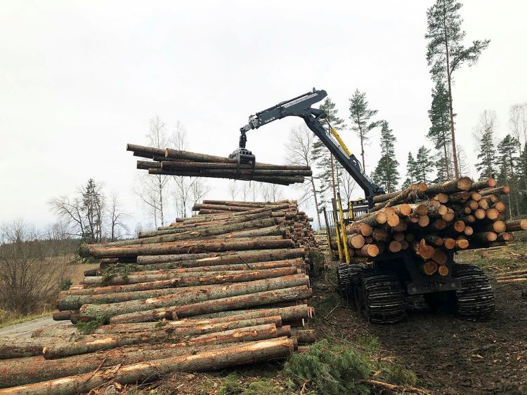 Skogsmaskin lyfter virke i skog.